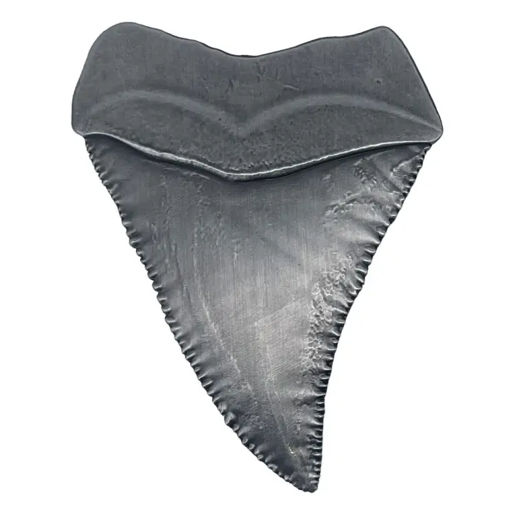 FaNaTtik Jaws - Medallion 50th Anniversary Shark Tooth