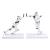 Nemesis STAR WARS - Stormtrooper - Working hardly hard Bookend