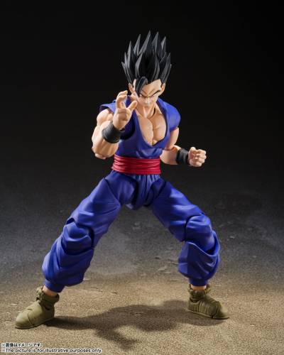 Bandai Tamashii Nations Dragon Ball - Gohan Super Hero S.H.Figuarts
