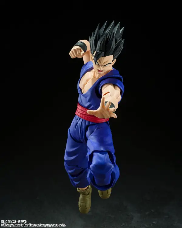 Bandai Tamashii Nations Dragon Ball - Gohan Super Hero S.H.Figuarts