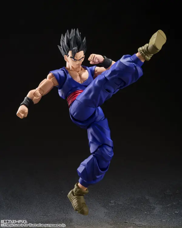 Bandai Tamashii Nations Dragon Ball - Gohan Super Hero S.H.Figuarts