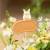 Benelic Ghibli - Catbuss Head - Planter