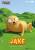 Beast Kingdom Adventure Time - Jake - Skarbonka