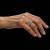 x_weta86-30-01539_a.jpg