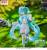x_sega57207_d.jpg