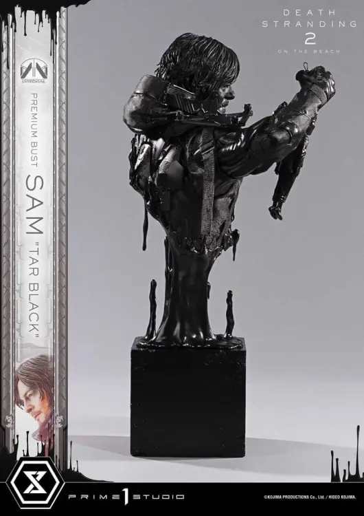 x_p1spbds2-01_g.jpg