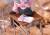 x_mafc04439_g.jpg