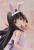 x_free51523_h.jpg