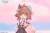 x_apex42321_b.jpg
