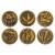 Fanattik Power Rangers - Interchangeable Power Morpher - Limitowana Edycja Replika