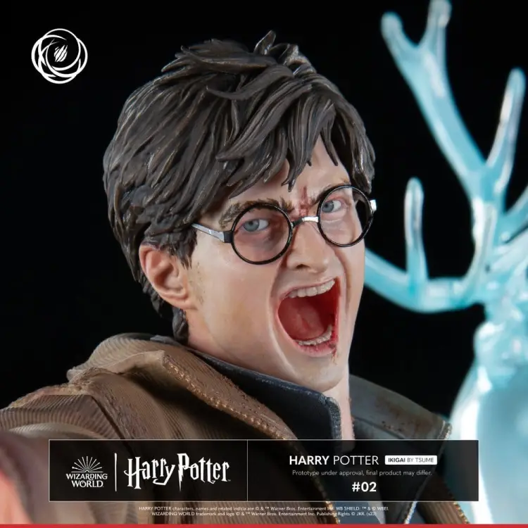 Tsume Harry Potter - Harry Potter - IKIGAI Figurka