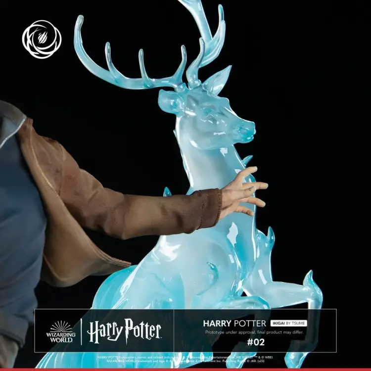 Tsume Harry Potter - Harry Potter - IKIGAI Figurka