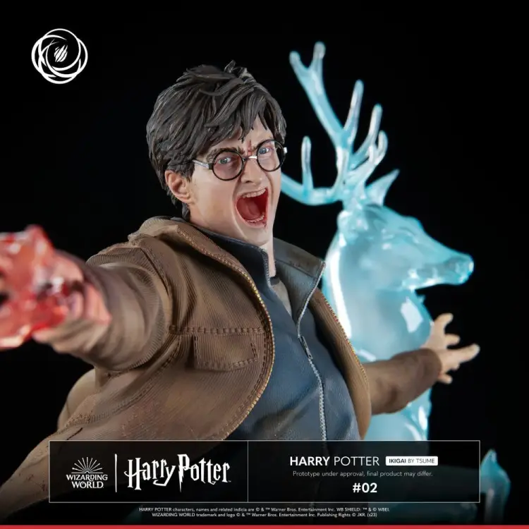 Tsume Harry Potter - Harry Potter - IKIGAI Figurka