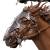 x_weta860105265_e.jpg