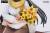 x_apex85294_h.jpg