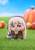 Goodsmile - TRICKCAL:CHIBI GO - Petite Speaki - Pop Up Parade 8cm