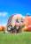 Goodsmile - TRICKCAL:CHIBI GO - Petite Speaki - Pop Up Parade 8cm