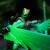 Hasbro - G.I. JOE - D.I.R.E. Hawk - Figure Classified Series Legacy 15cm