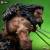 MARVEL - Weapon X (50th Anniversary) - Statua Art Scale 1/10 18cm