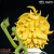 SEVEN DEADLY SINS - Meliodas - Statua popiersia 62cm