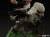 HARRY POTTER - Harry & Buckbeak - Figurka Mini Co. 16cm