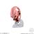 DRAGON BALL DAIMA - Asortyment 12 figurek Super Wojownik 5 cm