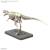 PLANNOSAURUS - Giganotozaur - Zestaw modelarski