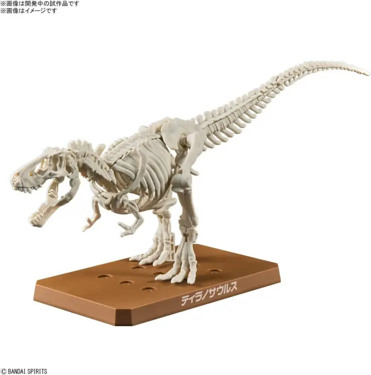 DINOSAUR - Nowy plastikowy tyranozaur dinozaura (wstępnie) - Zestaw modelarski