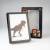 JURASSIC PARK - Druk LED w ramce 28x20x5cm
