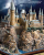 HARRY POTTER - Hogwart