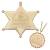 FALLOUT -Sunset Sarsaparilla Legend of the star set -Gold coloured Ed.