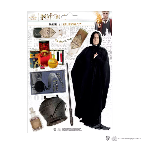 HARRY POTTER - Severus Snape - tablica 8 magnesów piankowych