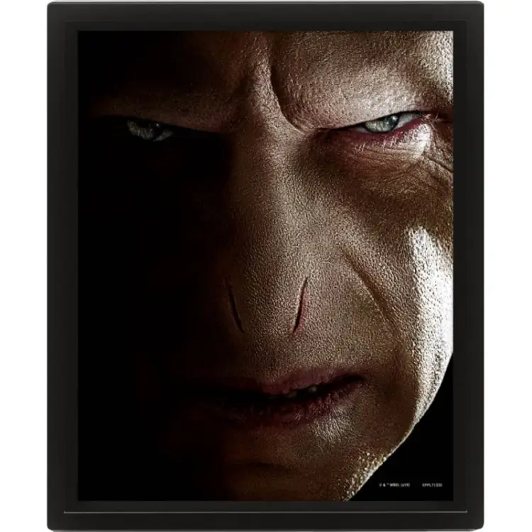 HARRY POTTER - Harry vs Voldemort - plakat soczewkowy 3D 26x20cm