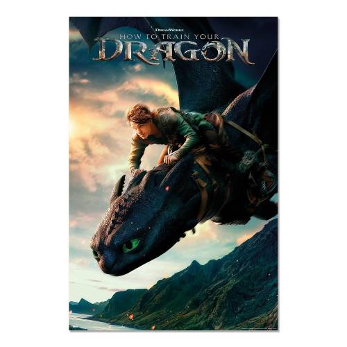 HOW TO TRAIN A DRAGON LIVE ACTION - Plakat 61 x 91 cm