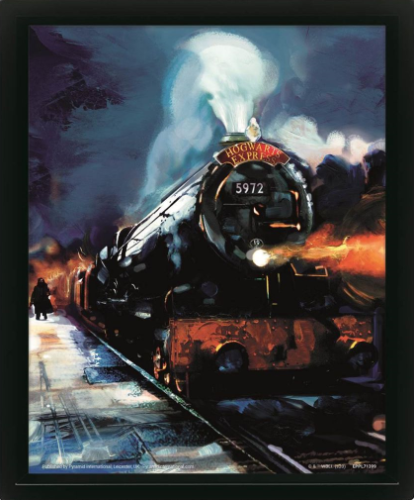 HARRY POTTER - Hogwarts Express - plakat soczewkowy 3D 29x24x4cm