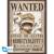 ONE PIECE - Wanted Luffy & Zoro - Zestaw 2 plakatów "52x38