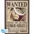ONE PIECE - Wanted Roger & Whitebeard - Zestaw 2 plakatów "52x38