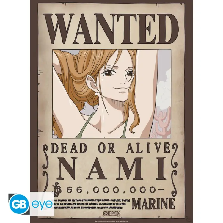 ONE PIECE - Nami & Robin - Zestaw 2 plakatów "52x38