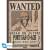 ONE PIECE - Wanted Luffy & Ace - Zestaw 2 plakatów "52x38
