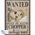 ONE PIECE - Wanted Chopper & Brook - Zestaw 2 plakatów "52x38