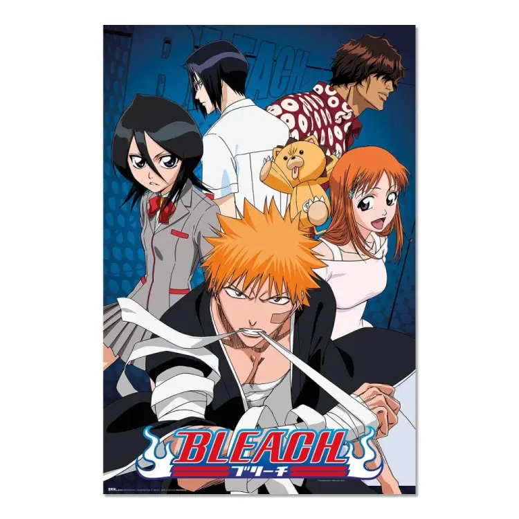 BLEACH - Postacie - Plakat 61 x 91 cm