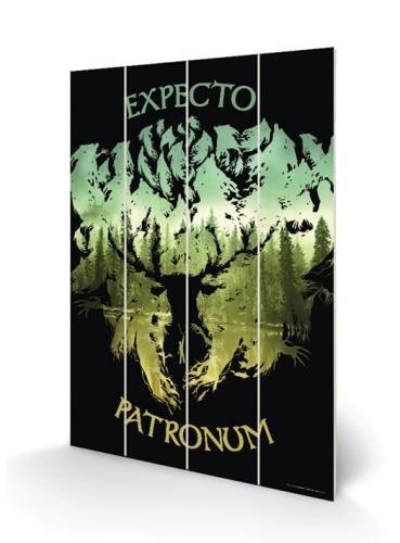 HARRY POTTER - Nadruk na drewnie 20x29,5 - Expecto Patronum