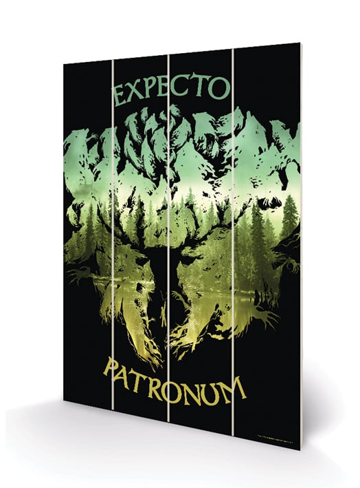 HARRY POTTER - Nadruk na drewnie 20x29,5 - Expecto Patronum