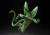 DRAGON BALL Z - Cell First Form - Figurka S.H.Figuarts 17cm