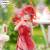 QUINTESSENTIAL QUINTUPLETS - Itsuki - Statuetka Trio-Try-It 22cm