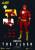 DC COMICS - The Flash - Figurka 20 cm