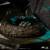 JURASSIC WORLD: REBIRTH - Quetzalcoatlus - Statua Ikony 25,8 cm