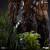 STAR WARS VI - Chewbacca & Tokkat - Statuetka artystyczna w skali 1/10 22,4 cm