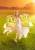 Good Smile Company Spice and Wolf - Holo - Abundant Harvest Pop Up Parade L