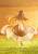 Good Smile Company Spice and Wolf - Holo - Abundant Harvest Pop Up Parade L